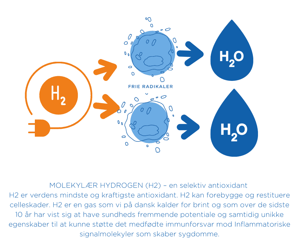 WWW.IWATER.DK Hydrogen Brint Molekylær hydrogen - En selektiv antioxidant
