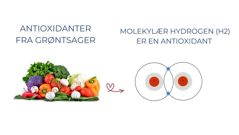 Antioxidanter fra grøntsager sammenlignet med antioxidanter fra Molekylær Hydrogen