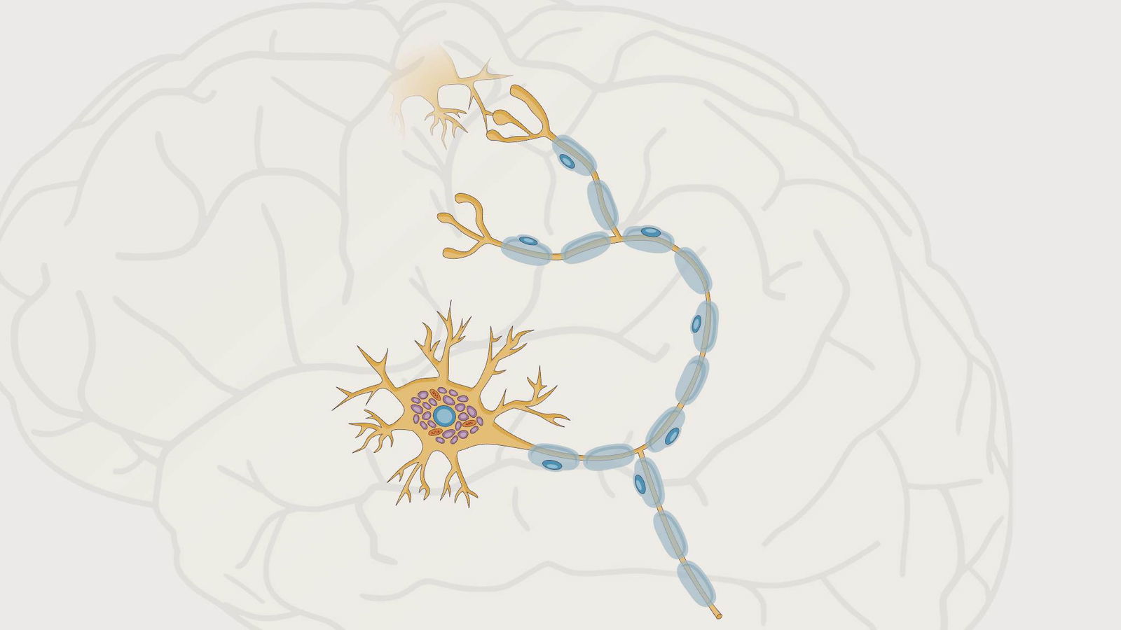 Når nervesystemet er i alarm – og kroppen kalder på ro